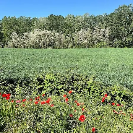 Vila Timeless Elegance Poggibonsi