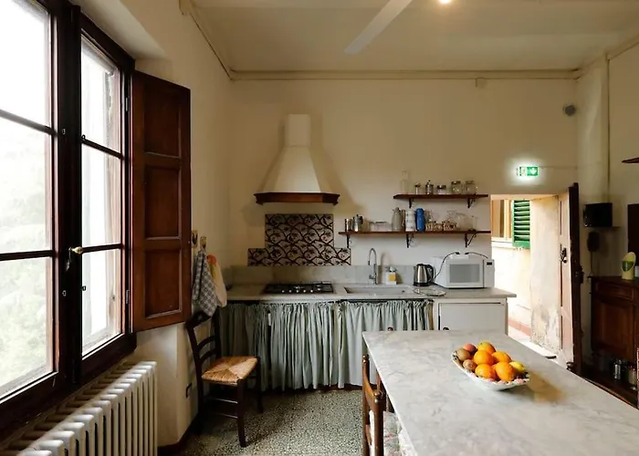 Timeless Elegance فيلة