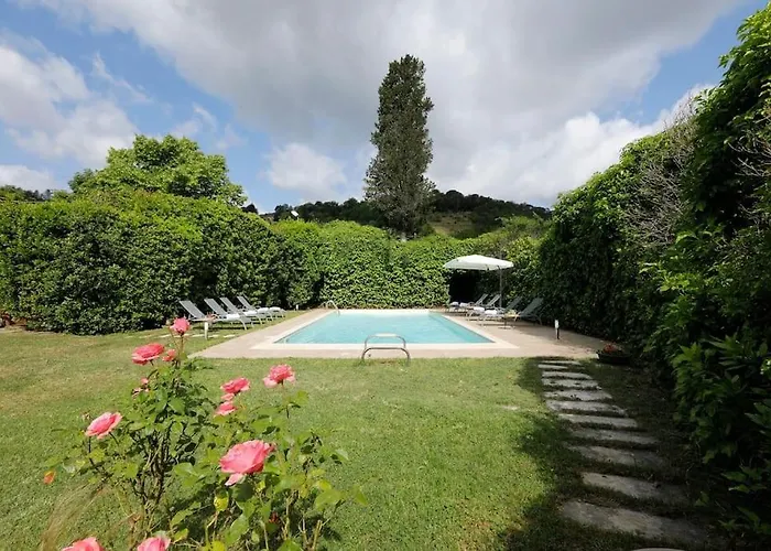 Timeless Elegance فيلة *