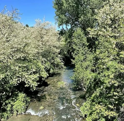 فيلة Timeless Elegance