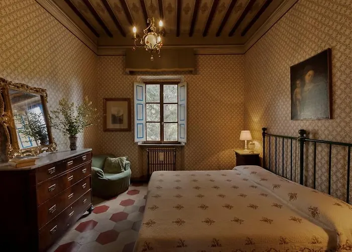 فيلة Timeless Elegance بودجيبونسي