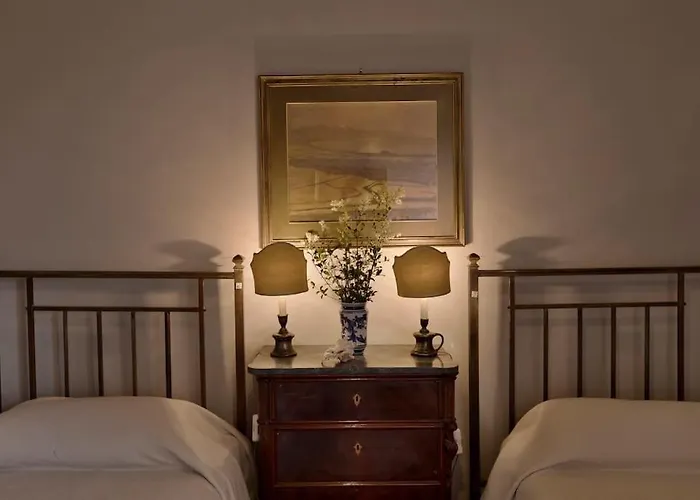 Timeless Elegance فيلة