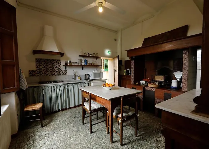 Timeless Elegance بودجيبونسي