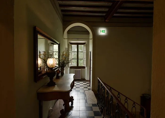 Timeless Elegance بودجيبونسي