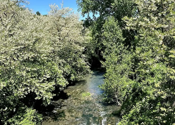 Timeless Elegance * بودجيبونسي