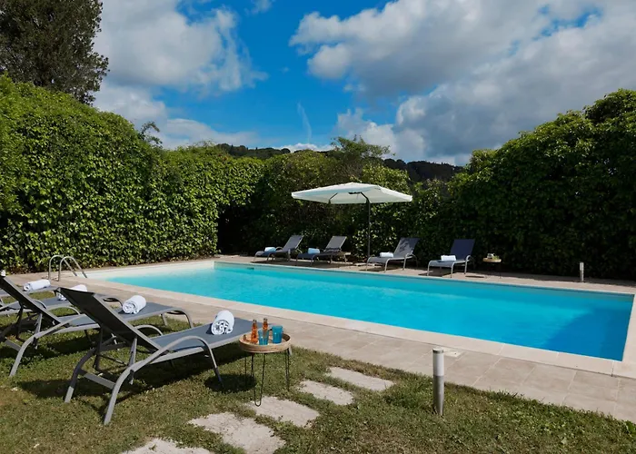 Timeless Elegance بودجيبونسي