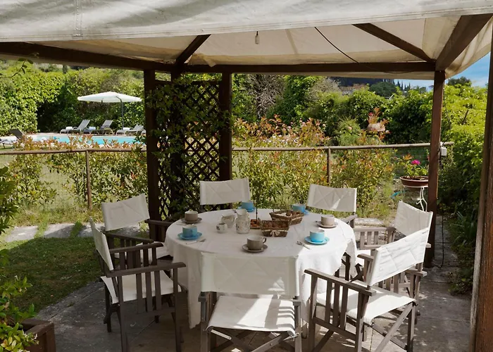 فيلة Timeless Elegance بودجيبونسي