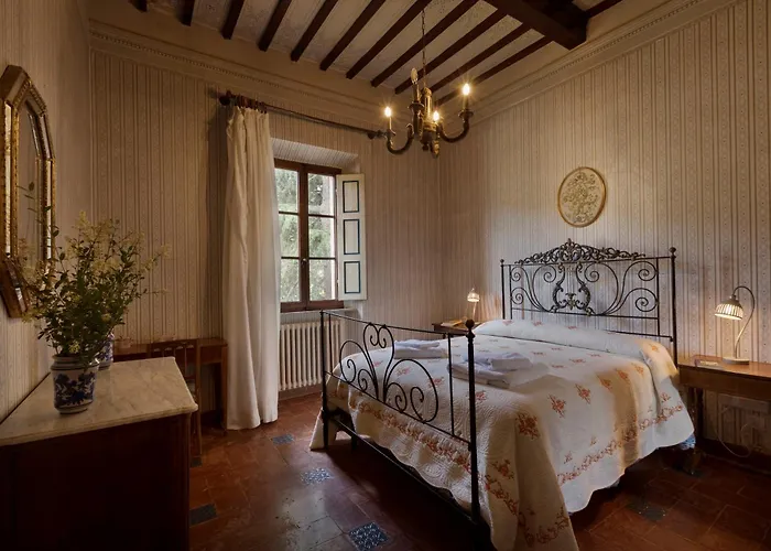 Timeless Elegance بودجيبونسي