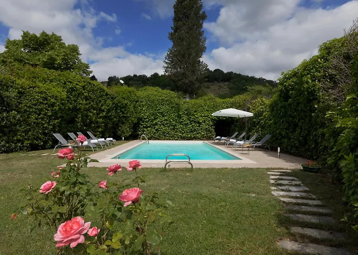 Timeless Elegance بودجيبونسي