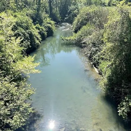 Timeless Elegance וילה