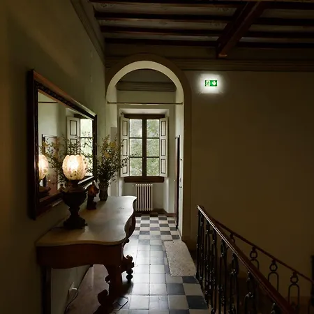 Timeless Elegance פוג'יבונסי