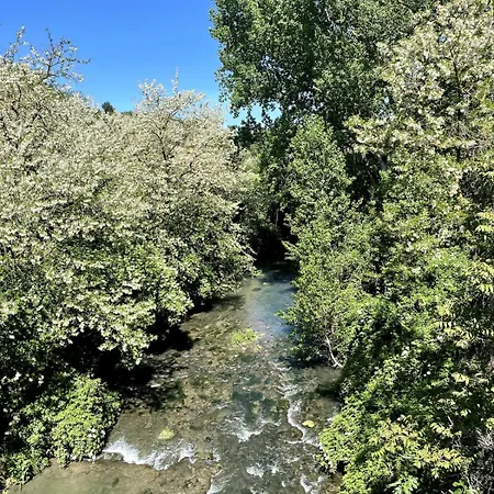 Timeless Elegance * פוג'יבונסי